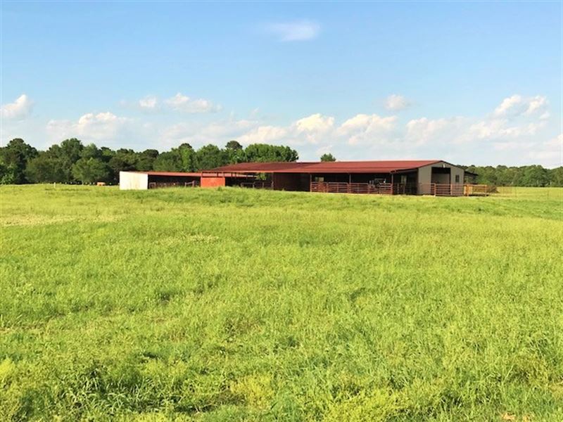 Cattle Grazing Rolling Ranch Land Ranch for Sale in De Kalb, Bowie