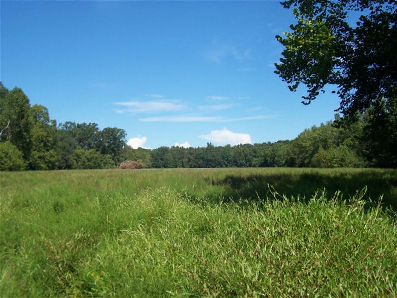 Northeast Ga Farmland/Recreational, Ranch for Sale in 159321