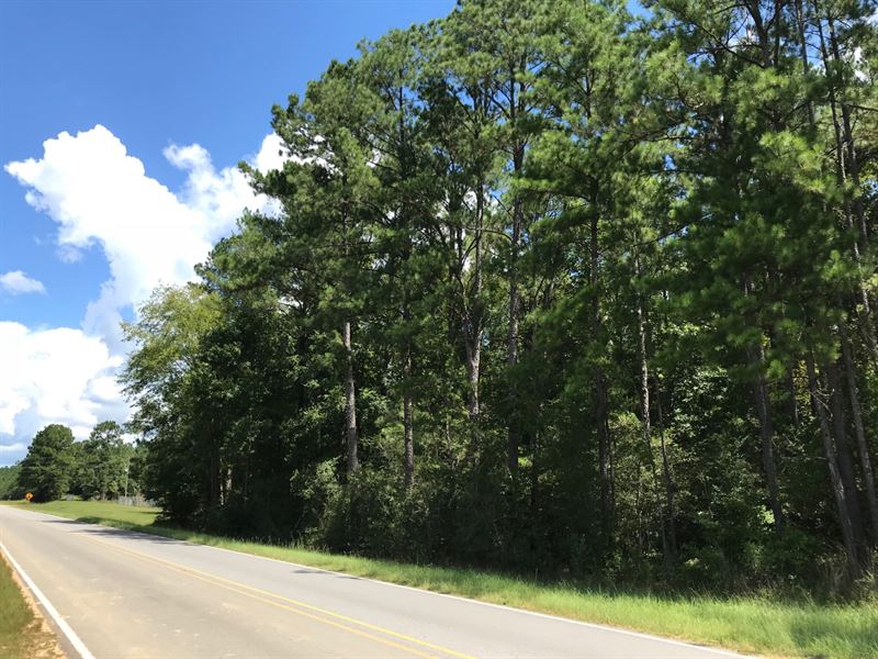 Ferguson Mill Road 50 : Monticello : Lawrence County : Mississippi