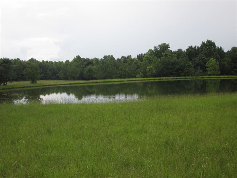 Recreation and Hunting Property : Petrey : Pike County : Alabama