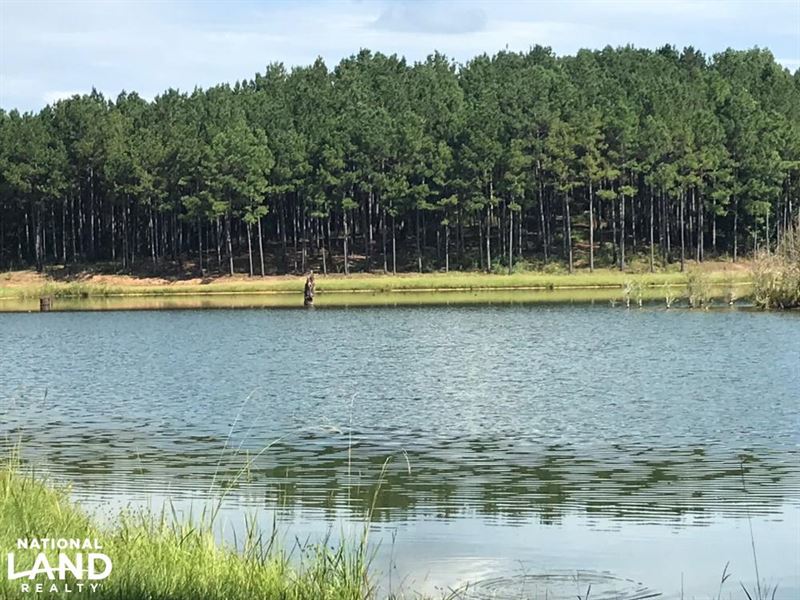 Sneads Creek Recreational Tract : Gordo : Pickens County : Alabama
