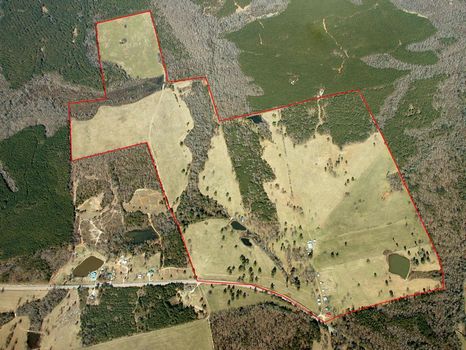 330 Acres : Greenville : Meriwether County : Georgia