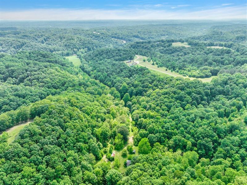 25 Acre Building Site with Cree : Goodlettsville : Robertson County : Tennessee