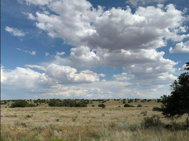 140 Acres with Water and Power : Mountainair : Torrance County : New Mexico