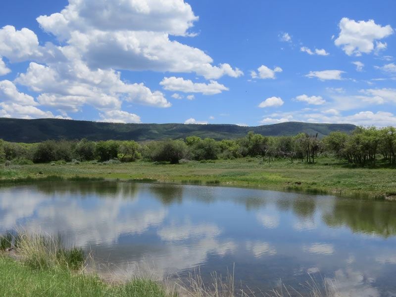 Oak Ridge Ranch : Crawford : Montrose County : Colorado