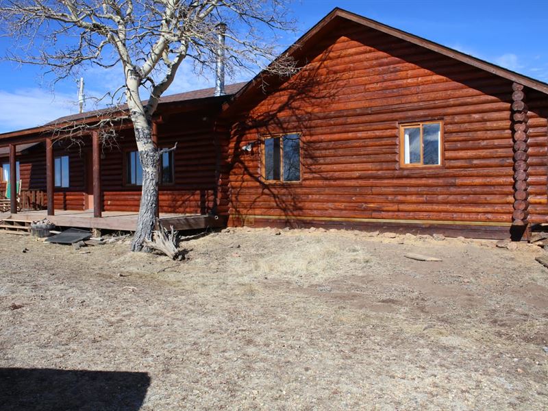 Alpine Paradise : Victor : Teller County : Colorado