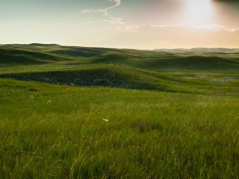 Sandhills Hunting Ranch, Ranch for Sale in Nebraska, 160014 RANCHFLIP