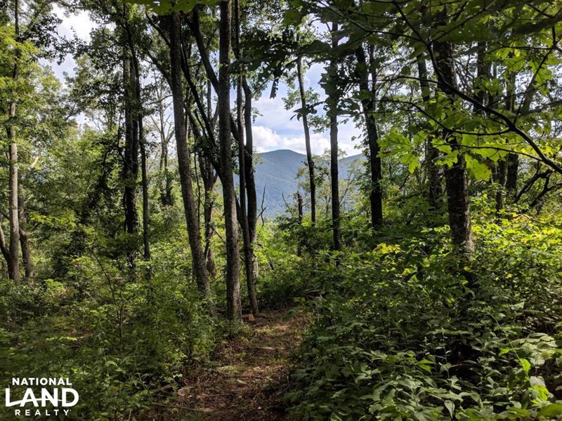Incredible Panoramic Views of Weste : Asheville : Buncombe County : North Carolina