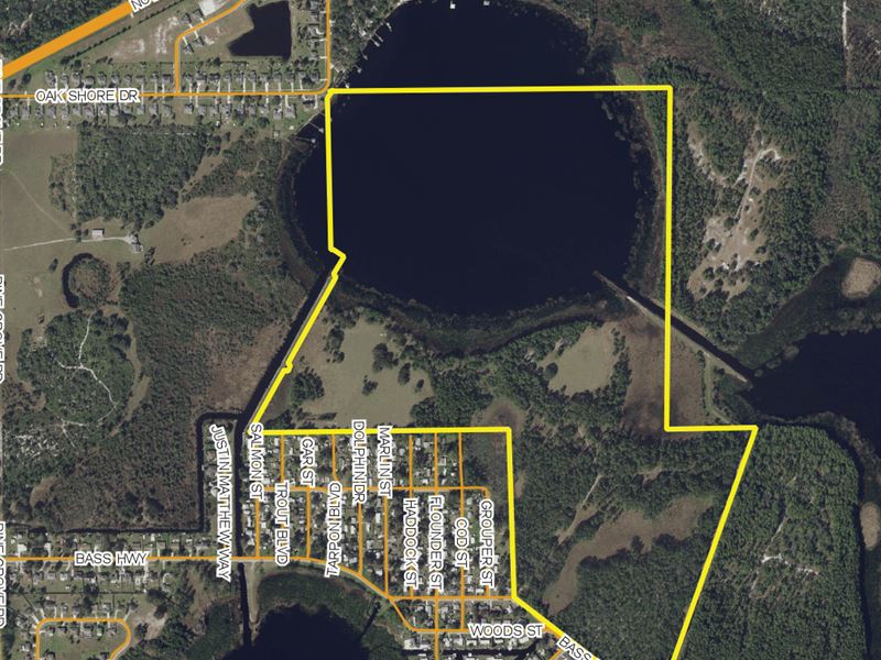 Coon Lake Land, Ranch for Sale in Florida, 160136 RANCHFLIP