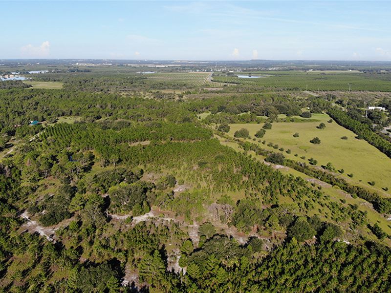 Camp Mack Road 100 Acres, Ranch for Sale in Florida, 160138 RANCHFLIP