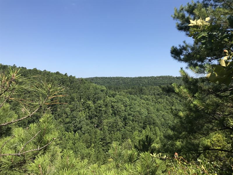 Jack Mountain Wma : Bismarck : Hot Spring County : Arkansas