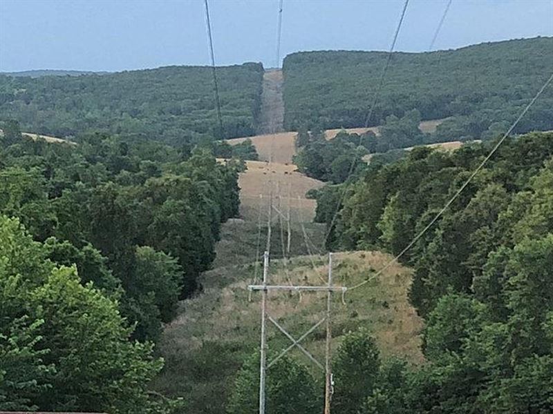 Dry Fork Mountain : Berryville : Carroll County : Arkansas