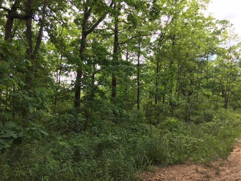 89.87+- Acres Hunters Paradise : Palmer : Grundy County : Tennessee
