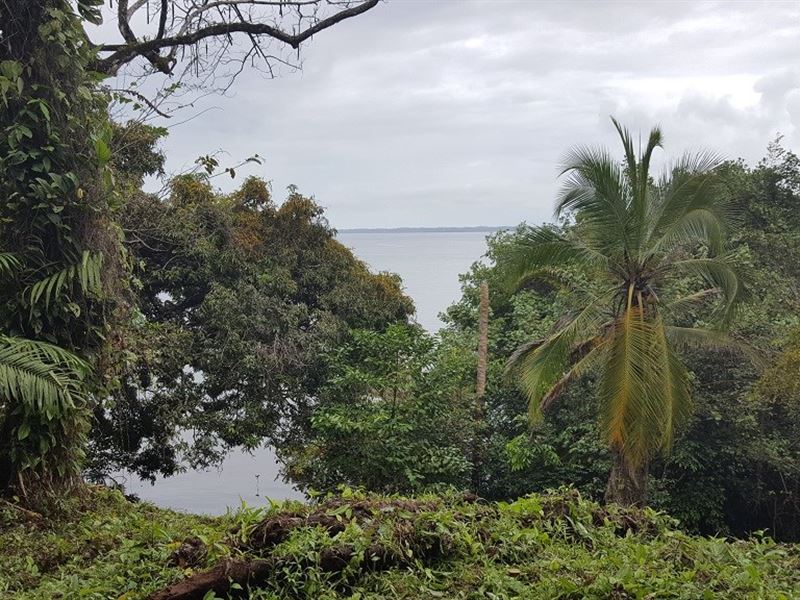 Titled Coastal Land, 20 Acres Bocas : Panama