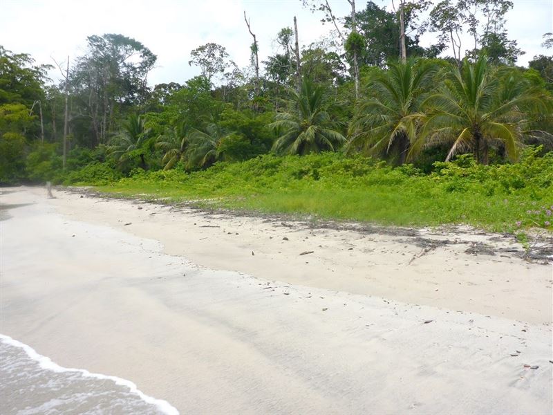 Stunning Bocas Del Toro Beachfront : Panama