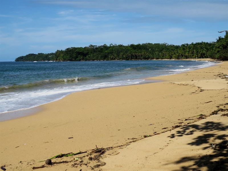 960 Feet Beach Front Land Bocas Del : Panama