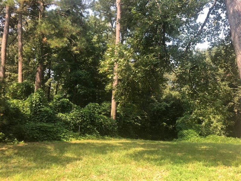 Timber Property Clark : Curtis : Clark County : Arkansas
