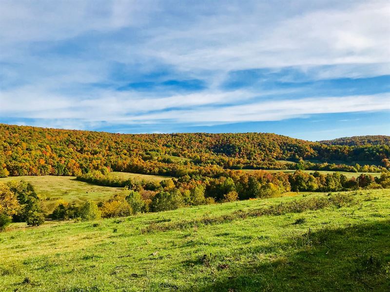 324 Acres in Searcy County Arkansas : Leslie : Searcy County : Arkansas