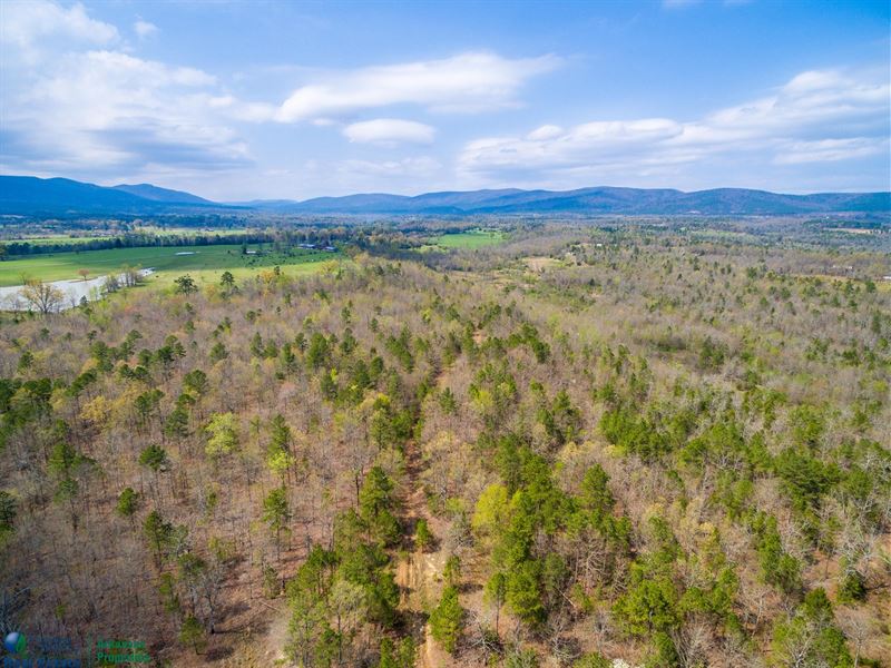 Timberland Development Acreage Polk : Mena : Polk County : Arkansas