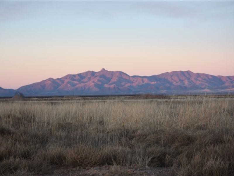 20 Acres Near Willcox, AZ : Pearce : Cochise County : Arizona
