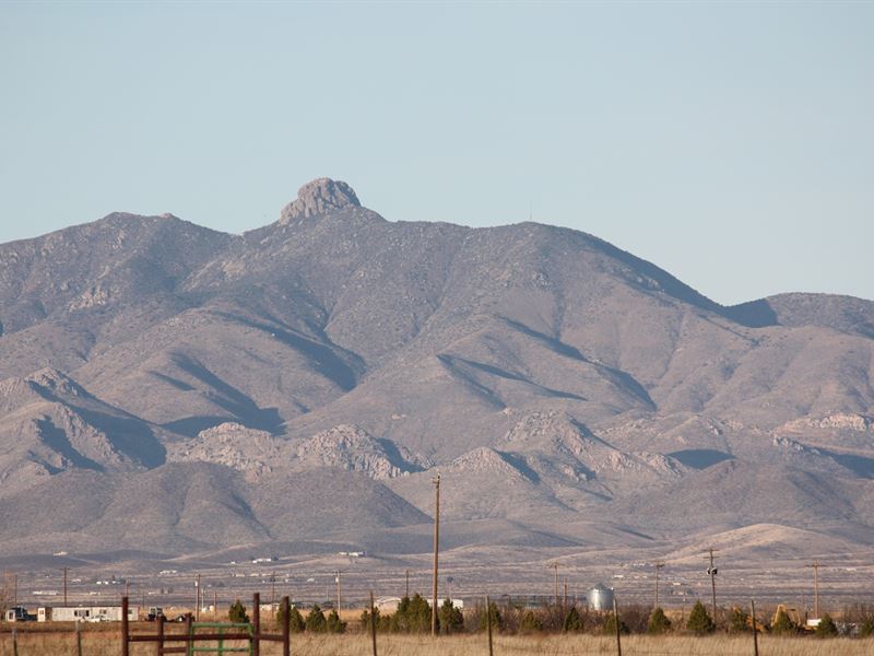 20 Acres Southeast, Arizona Willcox, Ranch for Sale in Arizona, 161649