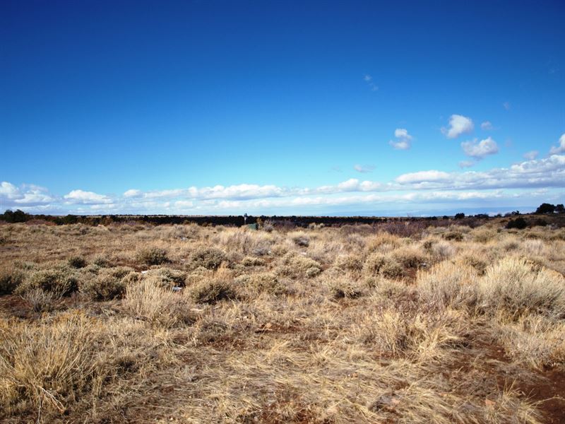 Colorado Mountain Land, Mesa County : Glade Park : Mesa County : Colorado