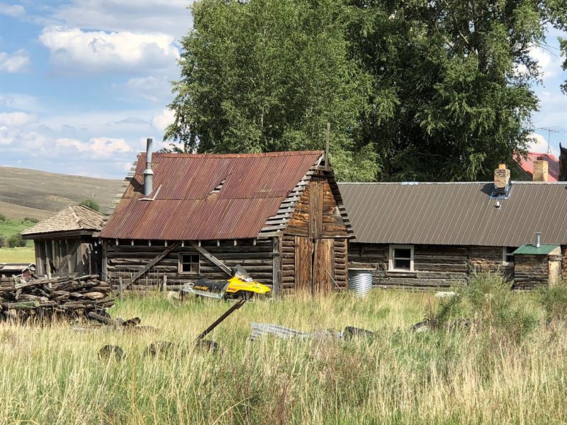 Sustainable Cattle Ranch Gunnison, Ranch for Sale in Colorado, 161767