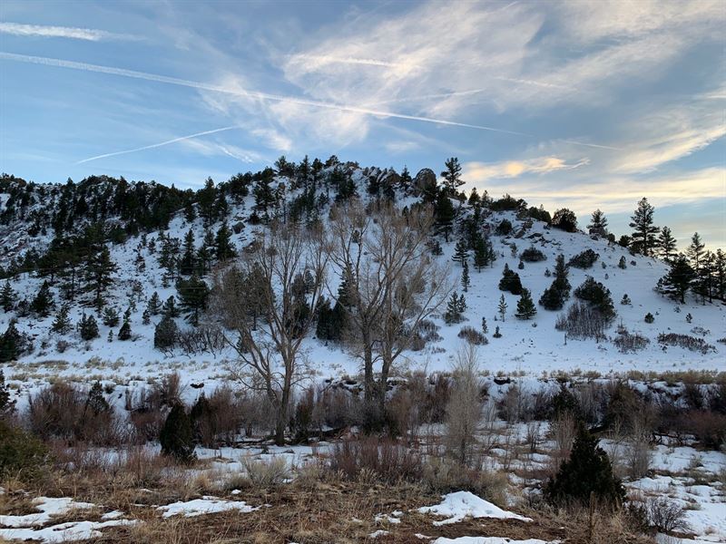 Co Mountain Equine, Hunting : Cañon City : Fremont County : Colorado