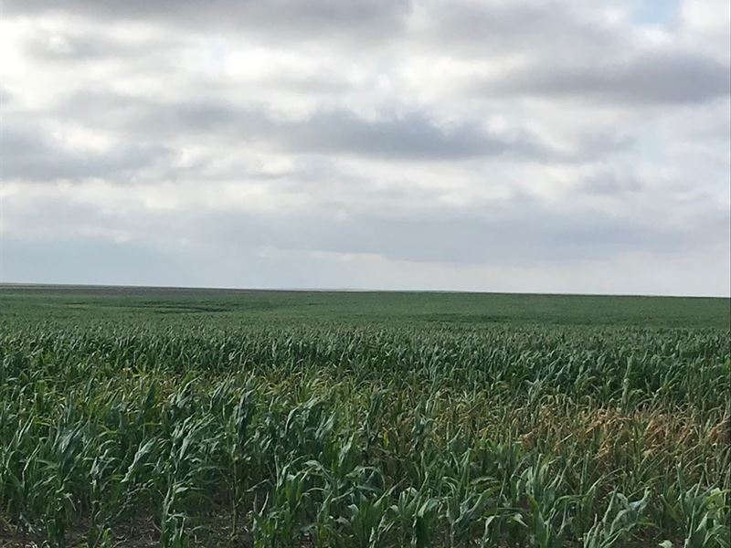 2400 Acres Cheyenne County Dryland Ranch for Sale in Cheyenne Wells