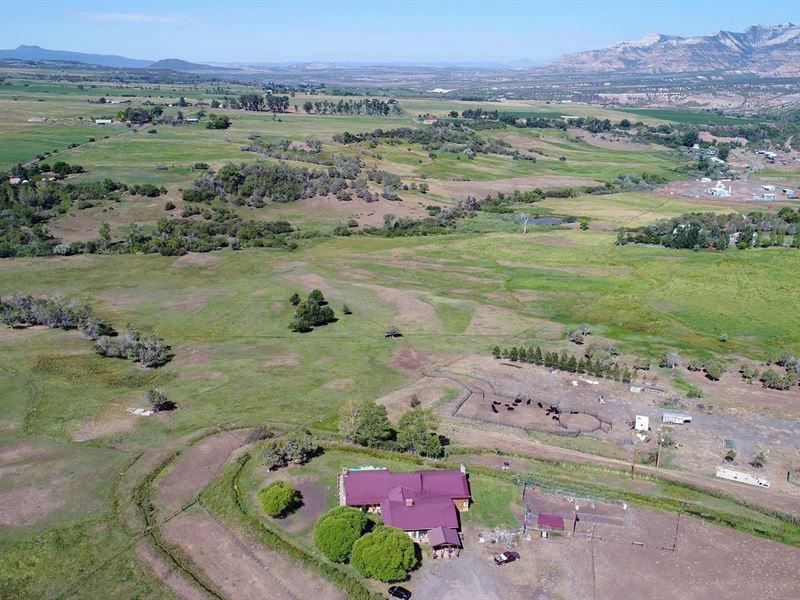 Horse Property in CO with Home : Collbran : Mesa County : Colorado