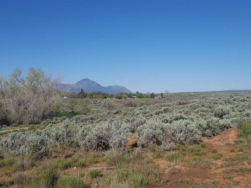 Land Cortez Co, Land Durango : Cortez : Montezuma County : Colorado