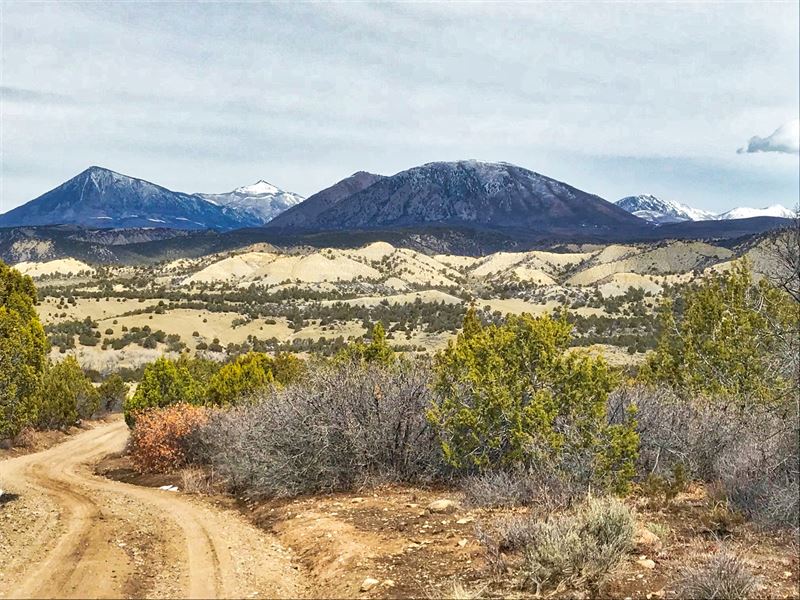 Mountain Hunting Property Western : Crawford : Montrose County : Colorado