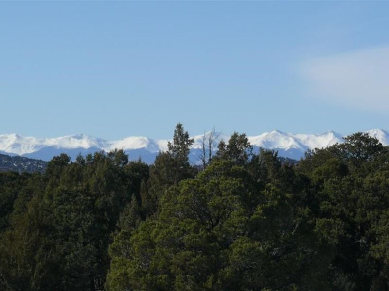 36 Acres Fishers Peak Ranch : Trinidad : Las Animas County : Colorado