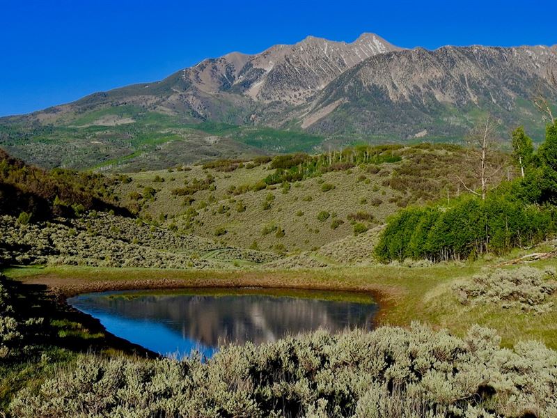 Colorado Gmu 521 Big Game Hunting, Ranch for Sale in Colorado, 162235