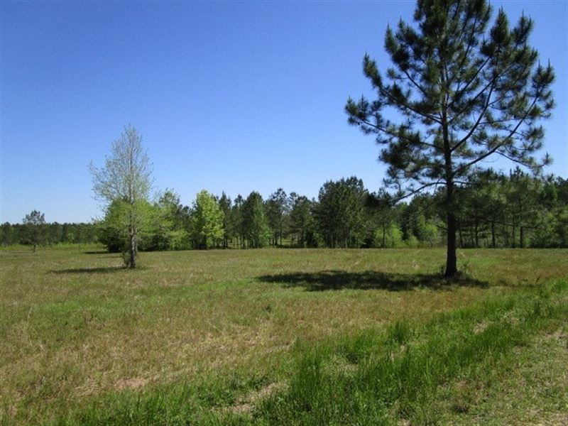 Remote Florida Hunting Land, Ranch for Sale in Florida, 162387 RANCHFLIP