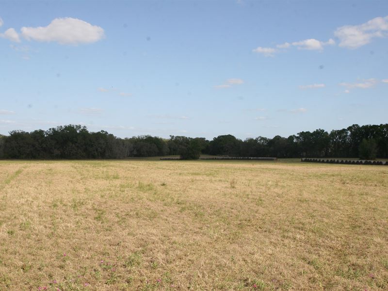 Pasture Land for Sale North Florida : Lake City : Columbia County : Florida