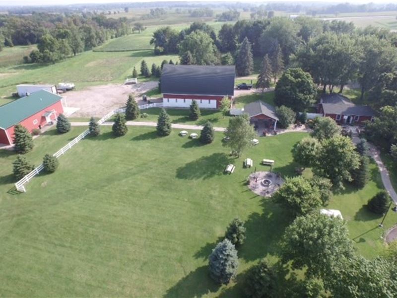 Delano MN Winery Vineyard Woodland : Delano : Wright County : Minnesota