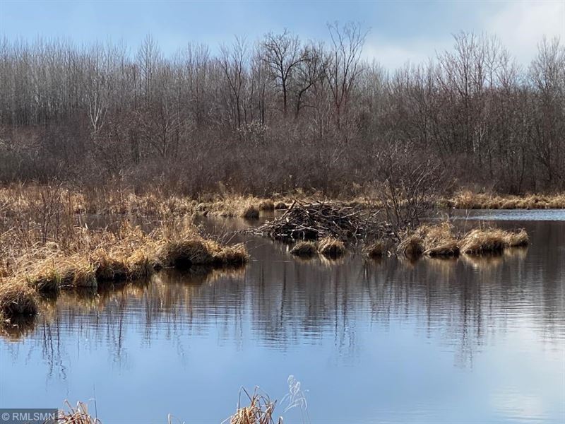Acreage, Hunting Land, Creek : Sandstone : Pine County : Minnesota