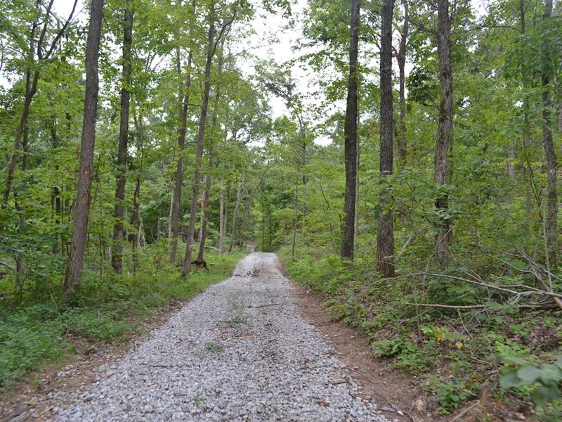 Recreational Land, Missouri Ozarks : Brixey : Ozark County : Missouri