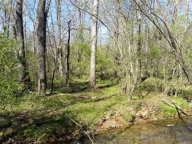 Great Building Site for Sale : Doniphan : Ripley County : Missouri