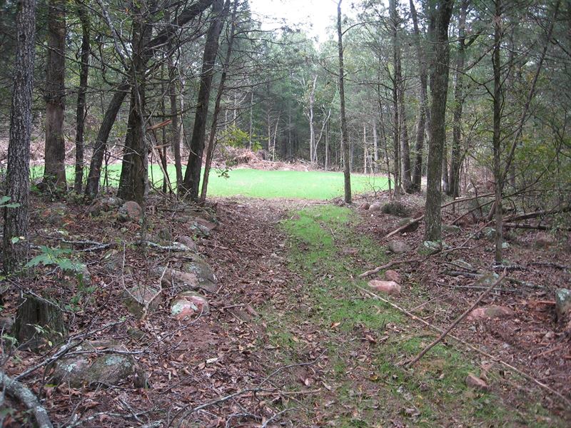 42.79 Acres, All Wooded : Fredericktown : Madison County : Missouri