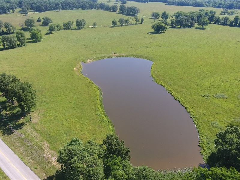 Farm Southern Missouri Pasture : Summersville : Texas County : Missouri