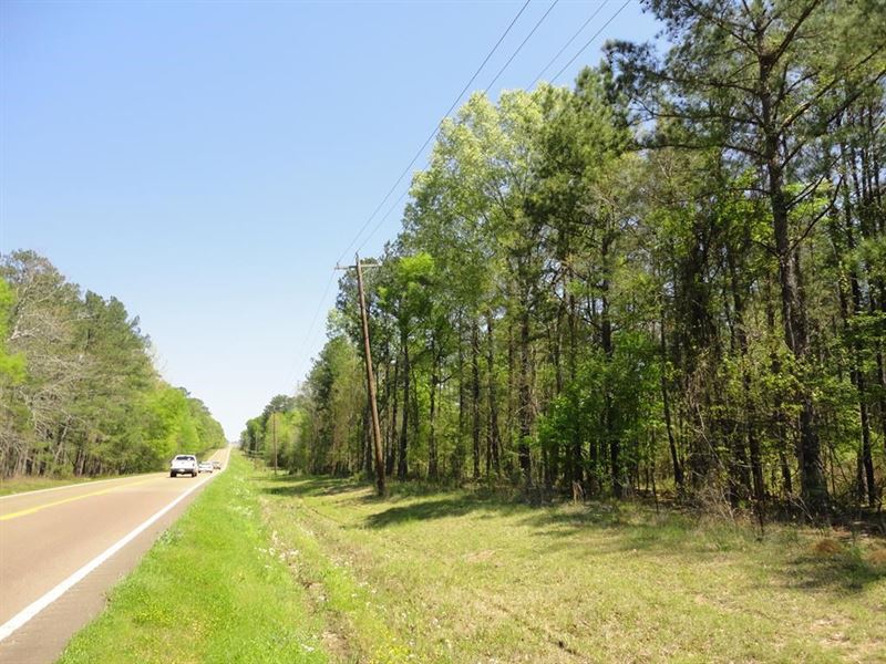Land 10 Acres Scott County Forest : Forest : Scott County : Mississippi