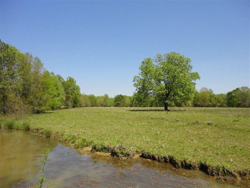 Land 16 Acres Scott County Forest, Ranch for Sale in Mississippi