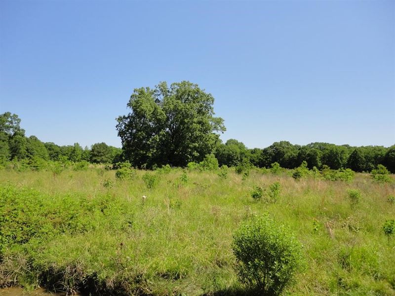 Land 15 Acres Scott County Forest, Ranch for Sale in Mississippi