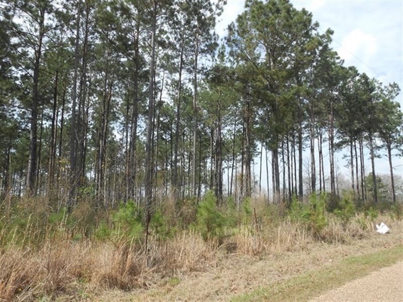 Land Timber Investment Property : Smithdale : Lincoln County : Mississippi