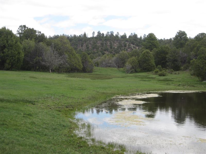 Northern NM Mountain Land Borders : Abiquiu : Rio Arriba County : New Mexico
