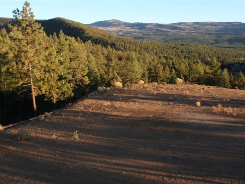 Mountain Acreage Northern NM, Ranch for Sale in New Mexico, 165600