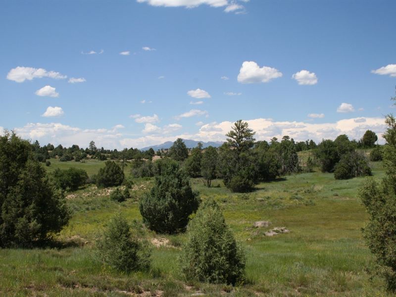 Chama New Mexico Property Power : Chama : Rio Arriba County : New Mexico