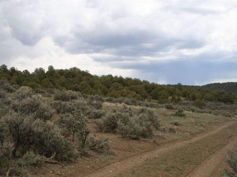 Land Chama NM Below Brazos Cliffs : Chama : Rio Arriba County : New Mexico